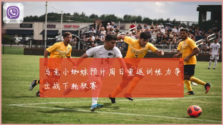 马竞小蜘蛛预计周日重返训练力争出战下轮联赛